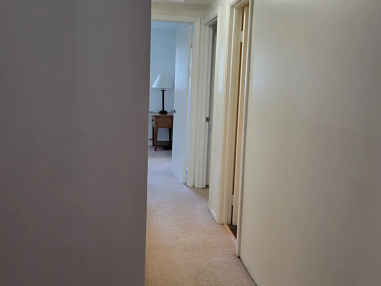 Downstairs hallway from kitchen to bedrooms 2 and 3 and bathroom 2. New carpet coming soon!