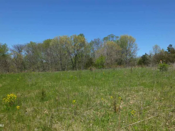 4 Persimmon Dr, Galena, IL 61036