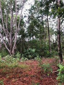 Interstate Highway 224 St #76, Loxahatchee, FL, 33470