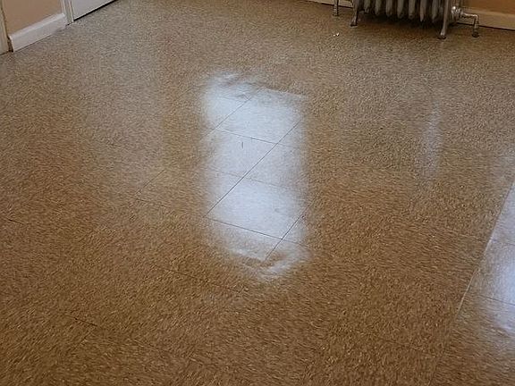 4th image of 7028 Woodland Ave