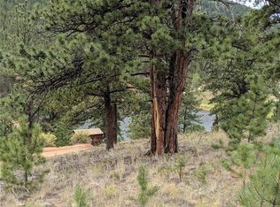 693 Gross Rd, Bailey, CO 80421