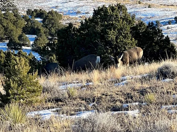 21 Kiowa Rd, Westcliffe, CO 81252