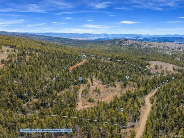 0 Beaver Creek Rd, Alma, CO 80420
