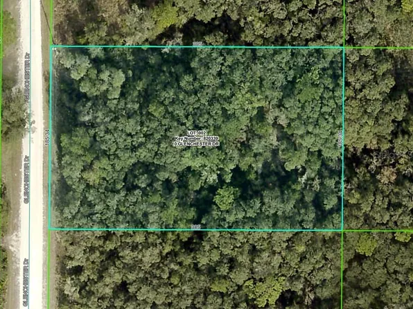 7192 Glenchester Dr Lot 2, Webster, FL 33597