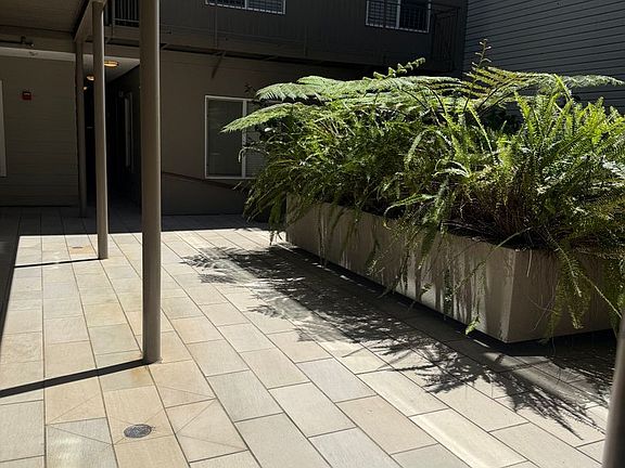 4th image of 566 S Van Ness Ave APT 2
