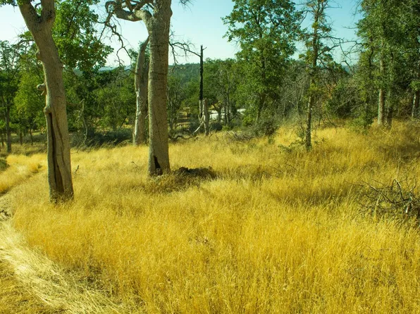 5794 Schilling Rd, Coulterville, CA 95311