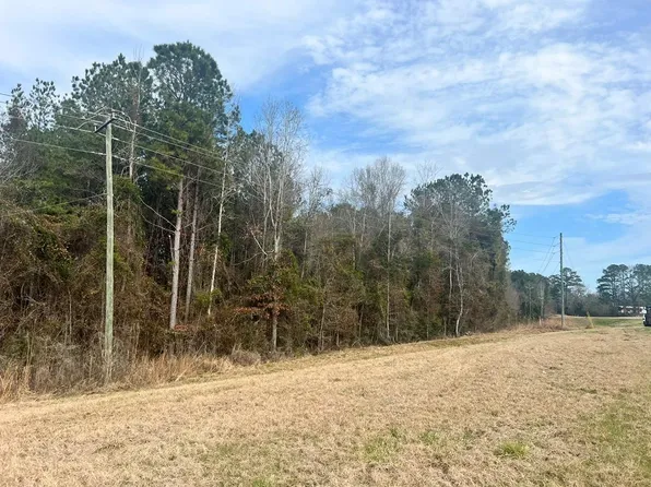 Highway 15, Louin, MS 39338