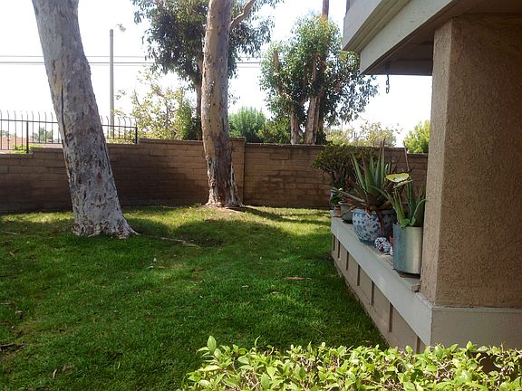 Greenbelt outside the unit.