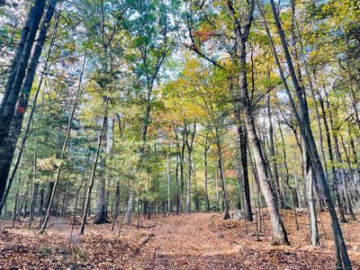 245 Knollwood Drive, Glastonbury, CT, 06033