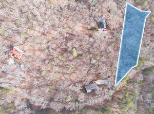 0 Skunk Hollow Rd, Cleveland, GA 30528