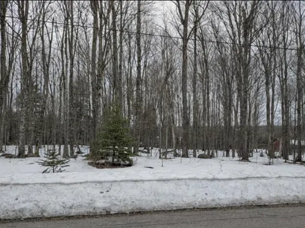 Wildwood Dr Lot G, Iron River, MI 49935