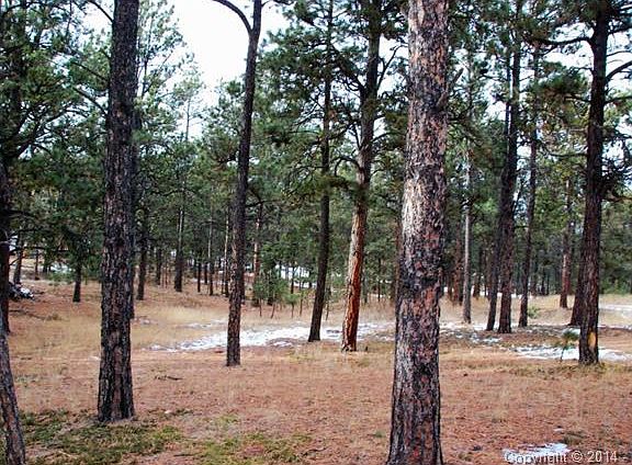 The lot is 5 treed acres in Black Forest, completely Untouched b