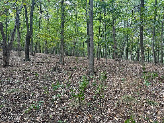 2nd image of LOT 8 Glade Pike