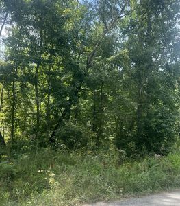 0 Shiloh Rd LOT 36, Beechgrove, TN, 37018