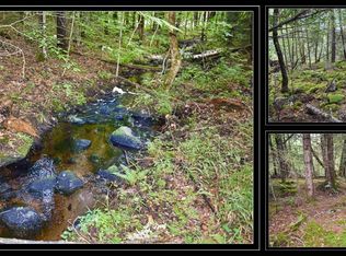 L721 Woodridge Rd, Brant Lake, NY 12815