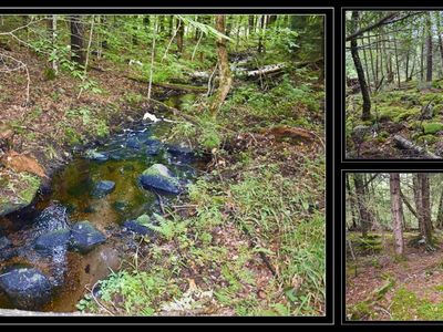 L72.1 Woodridge Drive, Brant Lake, NY, 12815
