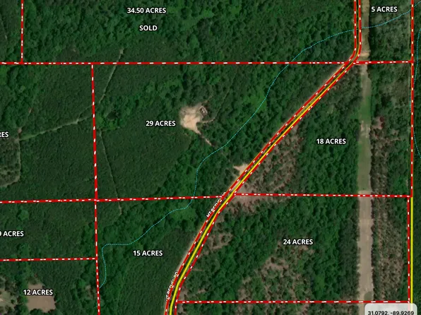 Mount Bethel Rd Lot Wp001, Sandy Hook, MS 39478