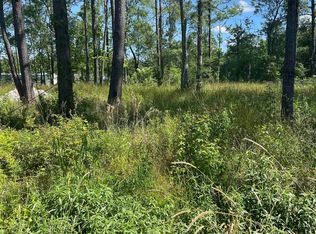 Cameron Ln, Walker, LA 70785