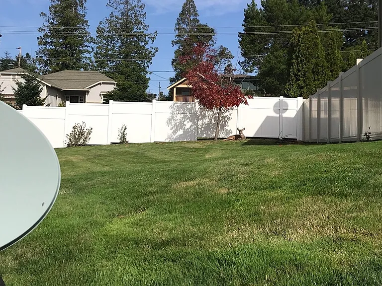 1511 Burrows Ct — Photo 2