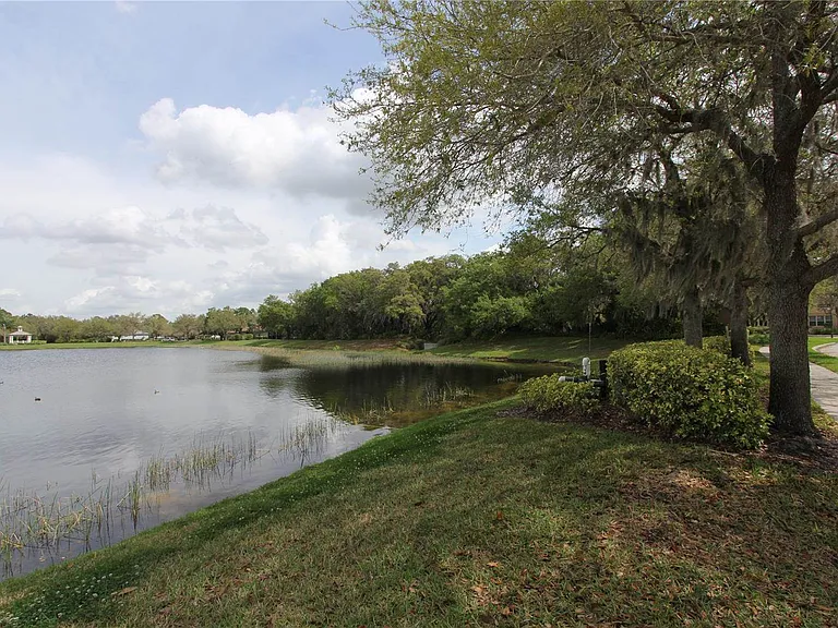 11717 Crawford Parrish Ln — Photo 47