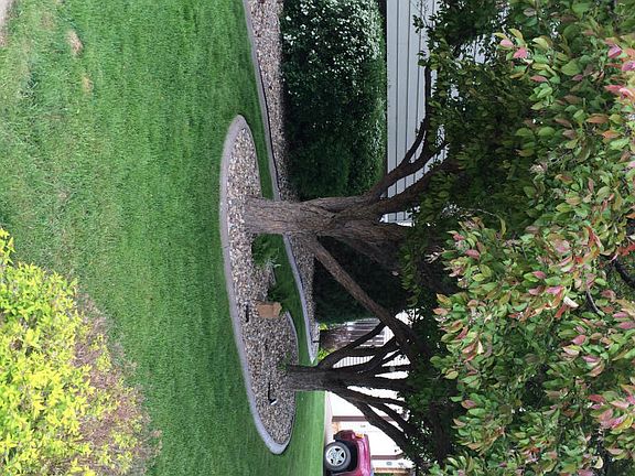 front yard