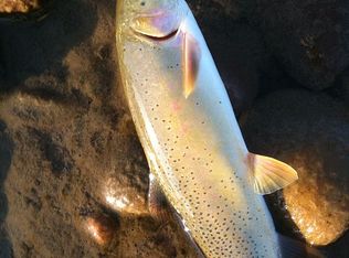 4335 N Prairie Smoke Rd, Wilson, WY 83014