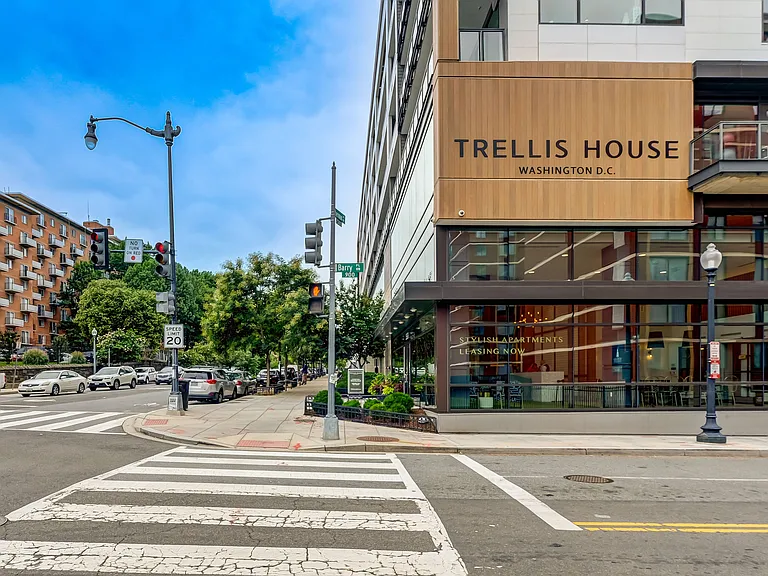 Trellis House — Photo 44