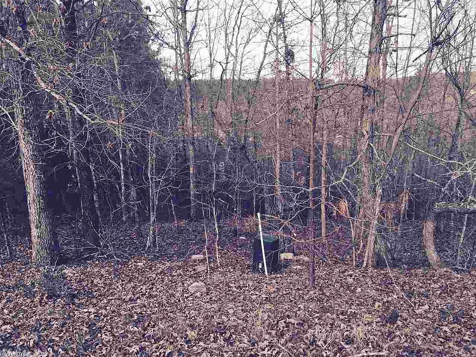 2nd image of 85 Alteza Dr