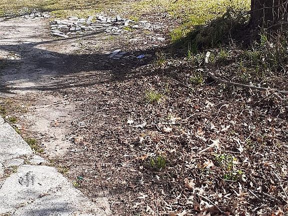 3rd image of 7031 Foster St