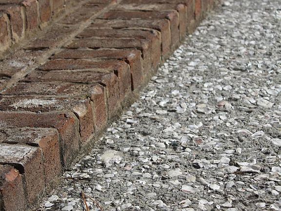 Seashell Sidewalks