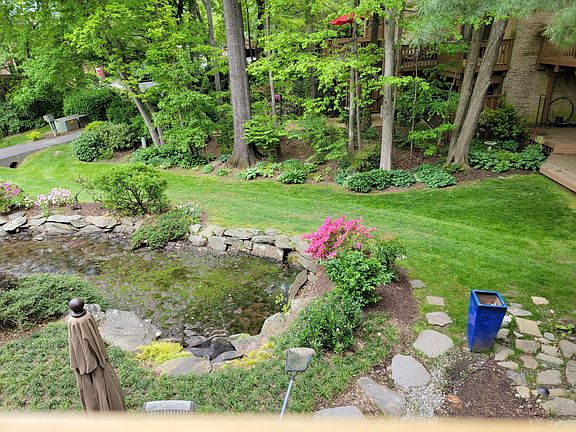 View from patio of forest-edge garden in the spring.