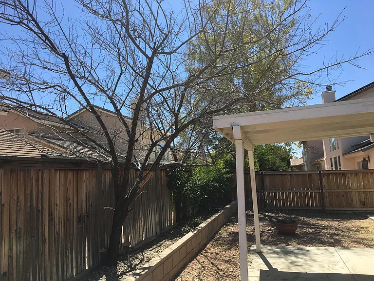 3304 Whisper Sands Ave — Photo 3