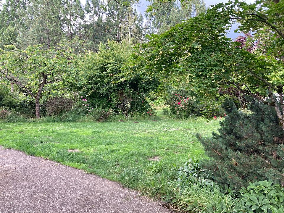 front yard and flowers could be back to beautiful with tlc.