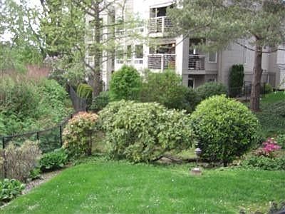 4th image of 10832 NE 68th St A-3 #A-3