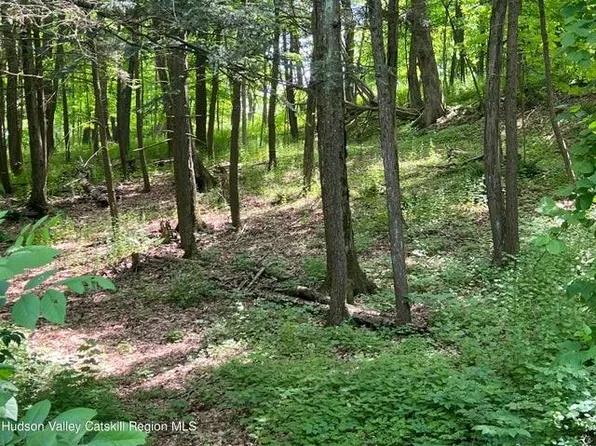 TBD Oakwood Drive, Kingston, NY 12401