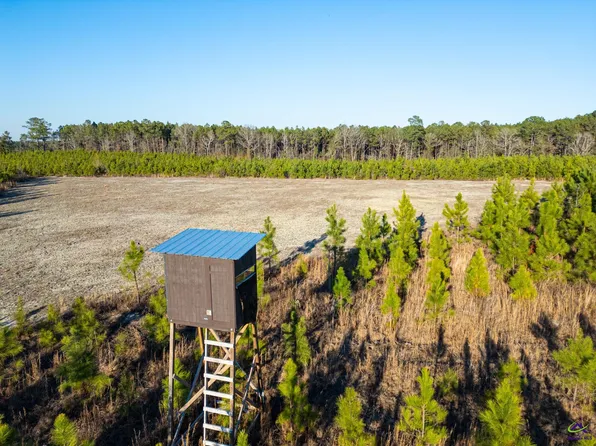 733 Chester Cochran Hwy, Chester, GA 31012