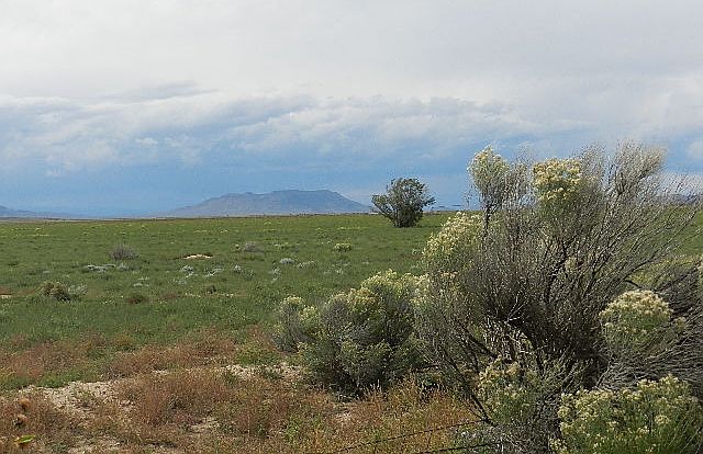 1st image of Tbd Hwy 142