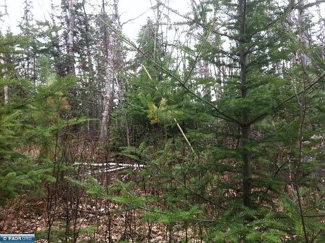 2nd image of Tbd Carlson Rd