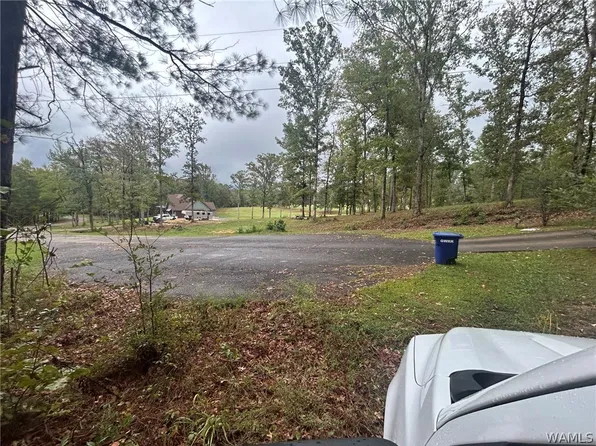 46 Tanglewood Cir, Reform, AL 35481