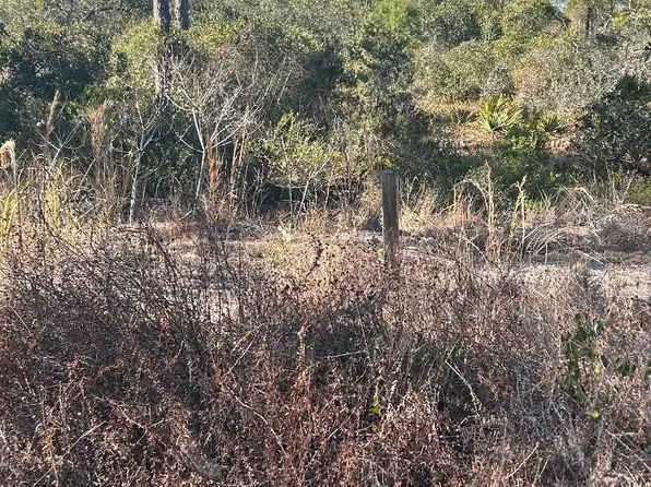 516 Deep River Drive, Lake Placid, FL 33852