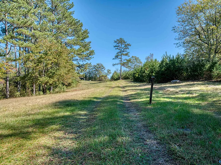 6370 County Road 91 — Photo 30