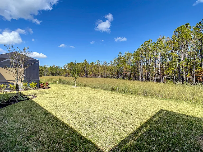 Backyard with wooded preserve