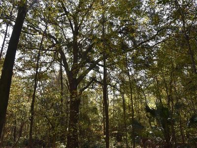 1220 SE Us Highway 301, Hawthorne, FL, 32640