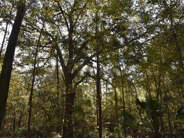 1220 SE Us Highway 301, Hawthorne, FL 32640