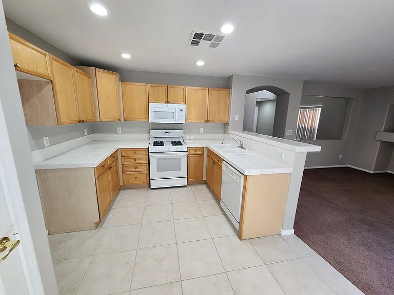 557 Poplar Leaf St — Photo 3