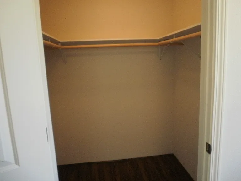 bedroom walk-in closet_11262014
