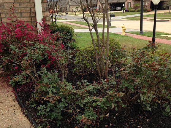 Landscaping/Street View