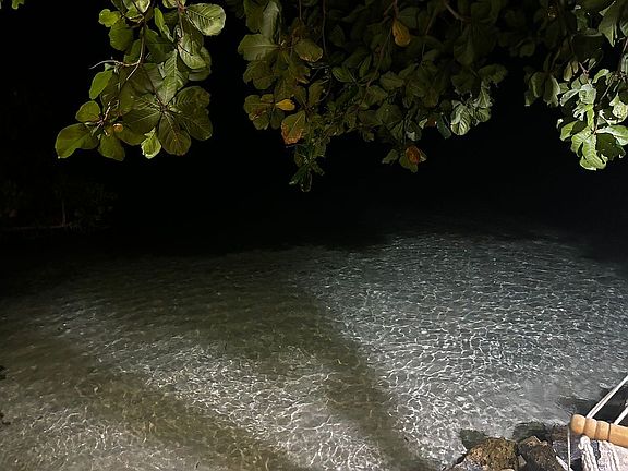 5th image of 307 Km 3.6 Barrio Guaniquilla