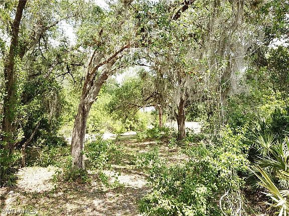 5th image of 5920 Hidden Hammock Dr