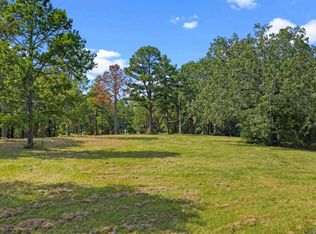 LOT 29 Frances Ln, Diana, TX 75640